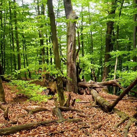 Sa Апартаменти *