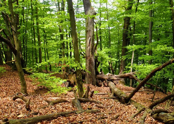 Sa Апартаменти *