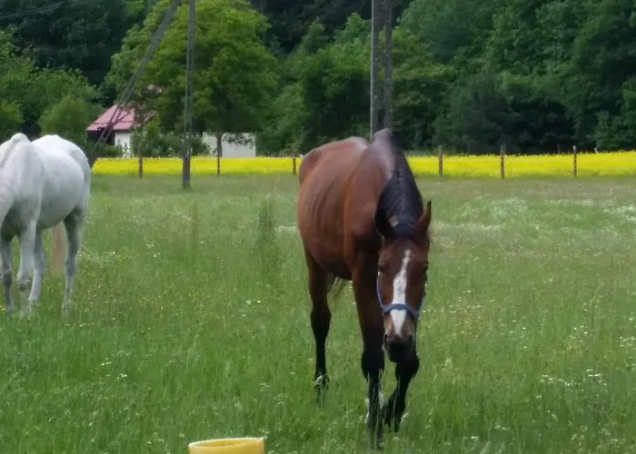 Sa Апартаменты Сопот